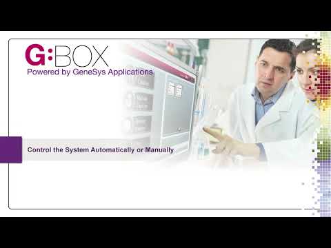 Syngene G:BOX Gel & Blot Imaging Systems