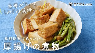 しみじみ美味しい！厚揚げの煮物/生姜をきかせ食べやすく、ごはんが進む味わいに！