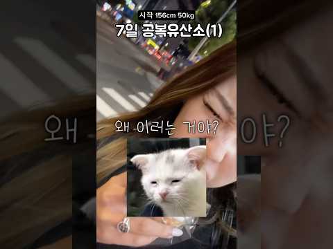 요요극복1일차 (Feat.공복유산소 챌린지)