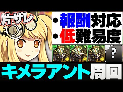 【低難易度/報酬対応】片サレのキメラアント周回編成！編成2種類紹介・立ち回り解説！【パズドラ】