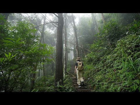 宛如仙境高CP小百岳 攀岩拉繩登頂視野超遼闊【山上優雅-象神仙縱走】獅潭｜樟之細路 RSB-17｜打卡天然陡峭大石壁