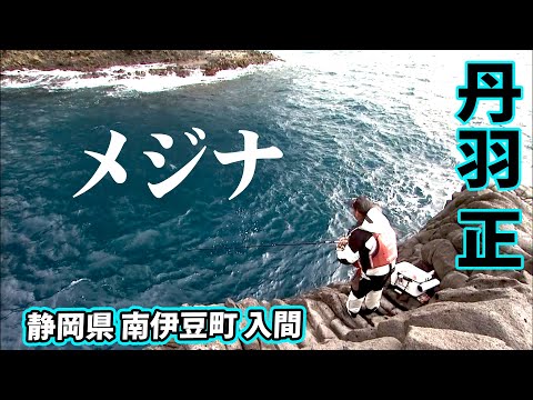 南伊豆で入れ食い状態のメジナ釣りを楽しむ！ 1/2 『ザ・激磯 丹羽正×南伊豆 入間 真冬のメジナ攻略』イントロver.【釣りビジョン】その①