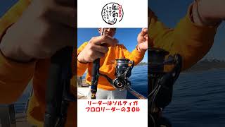 ヒラマサ 28㎏を獲ったタックル #釣り #fishing #ジギング