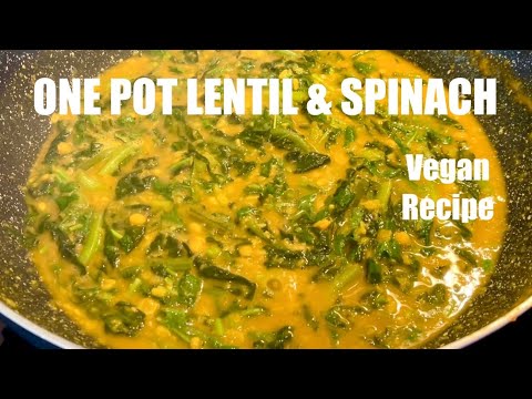 One Pot Lentil and Spinach | Easy One Pot Vegan Recipes