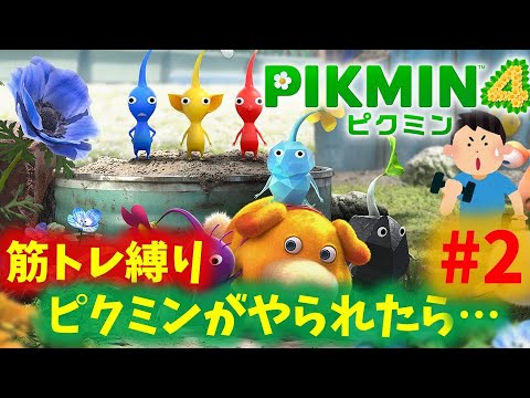 【ピクミン4】ピクミンを大事にする放送PART2【筋トレ縛り】