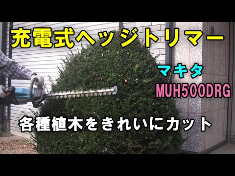 【ヘッジトリマー】ぼさぼさに伸びた植木をきれいにカット