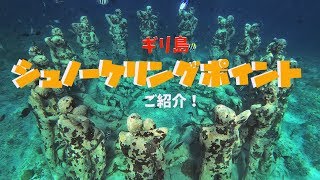 【ギリ島 シュノーケリング】ウミガメさん&海に沈められたアレコレ！シュノーケリングポイント紹介！！