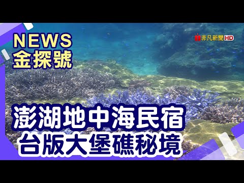 澎湖小琉球偽出國 | 陽光棕櫚渡假民宿 南方四島 海上皇宮海洋牧場  烏崁99冰城 【News金探號】