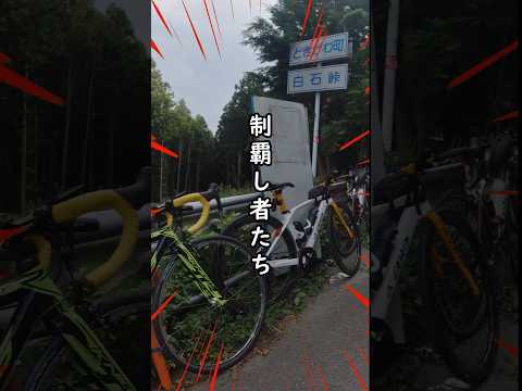 コスパ最強ヒルクライム補給食あるある🚴ロードバイク女子なぁぜなぁぜ初心者🔰すき家のうた ×愛車紹介🚴サイクルガジェットTVあや × シン・荒北仮面 白石峠コラボ＆牛丼ライド