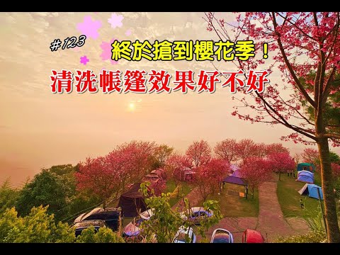 露營vlog▎司馬限山嵐露營區│超夯櫻花是哪一區│CPS露野領域│肋眼牛排│三訪超難訂雲海熱門營地 ep.123