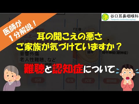 【医師が1分解説！】難聴と認知症 #Shorts