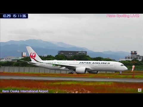 伊丹空港！11/06/2024