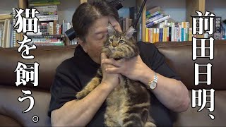 愛猫家・前田日明の猫ちゃん登場！