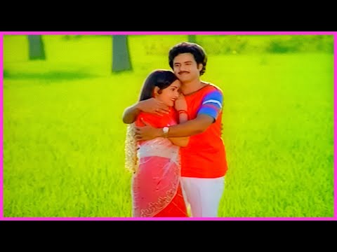 Balakrishna, Rajini Superhit Song - Seetharama Kalyanam Movie Songs | Telugu Video Songs HD