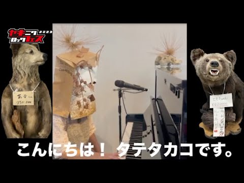 焼來肉ロックフェス2023 タテタカコ コメント動画【ヤキフェス2023】