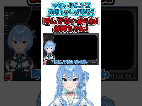 おねえちゃーーーん!!!!【星街すいせい】【ホロライブ切り抜き】 #星街すいせい #vtuber