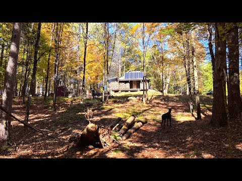 Day trip to the OFF GRID Cabin