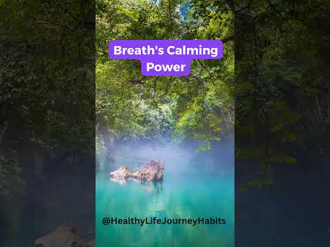 The Calming Power of Breathing #shorts #breathwork #calming #mindbodyspirit #breathingexercises