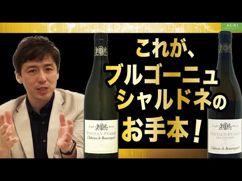 ブルゴーニュ・シャルドネのお手本！プイィ・フュイッセ飲み比べ　｜アグリワインチャンネル