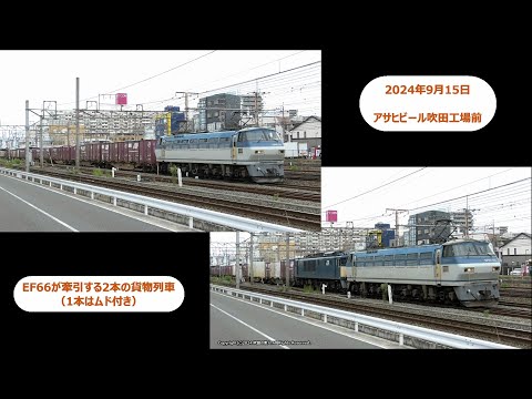 代走EF66による85ﾚ＆EF66運用の2077ﾚムド付き貨物列車の撮影です。（R6.9.15）