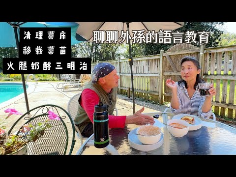 【華園花道】清理菜床｜移栽菜苗｜午餐煎火腿奶酪三明治｜聊聊對外孫的語言教育｜Cleaning The Vegetable Bed｜Transplanting Seedlings｜Chatting