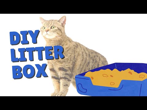 How To Make A Large Litter Box For Cats | Two Crazy Cat Ladies