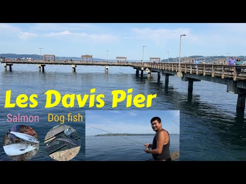 Les Davis Pier: One of The Best Places to Fish for Salmon, Dog Fish, Six-Gill Sharks, and Crabbing