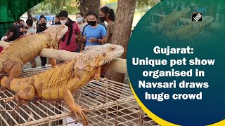 Gujarat: Unique pet show organised in Navsari draws huge crowd