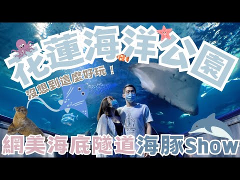 【花蓮旅遊】 - 完全沒想到《花蓮海洋公園》超好玩！ 魟魚在你頭上海底隧道、海豹流星雨、海獅深水炸彈、空中飛人特技表演秀！