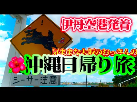 【沖縄旅】　伊丹空港発着で　日帰り沖縄旅