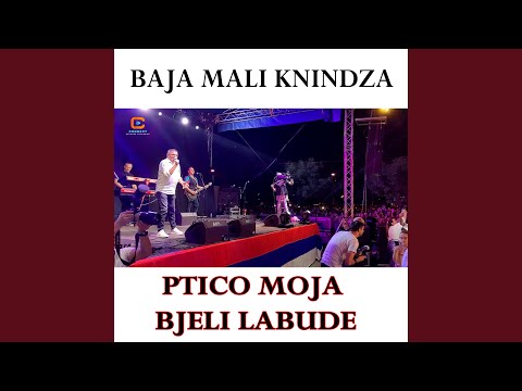 Ptico moja bjeli labude (Live)