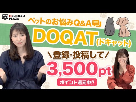 【DOQAT】ペットの悩みを投稿してポイントGET！　～メリメロプラザ～