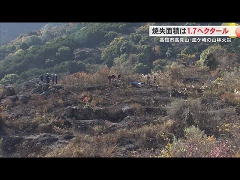 《火災》高見山・皿ケ峰の現場で実況見分【高知】 (24/12/15 18:10)