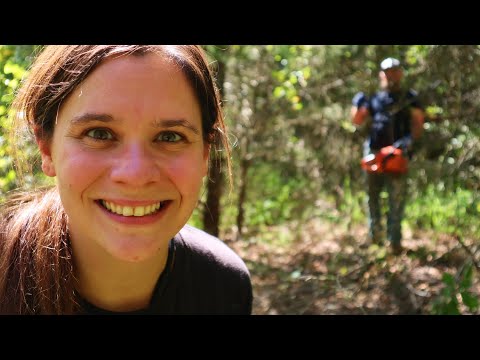 Massive Project UNDERWAY!  | GO Team RIGHT! | Shed To House Conversion