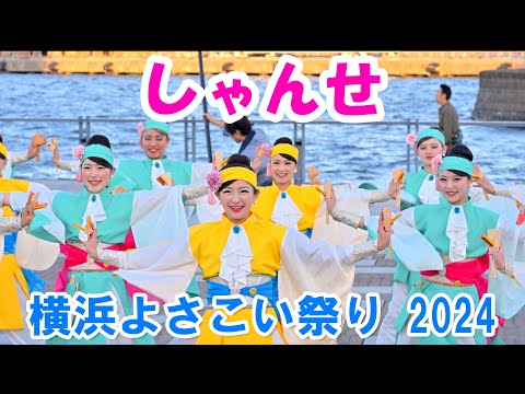 【4K】初披露「しゃんせ」＠横浜よさこい祭り2024