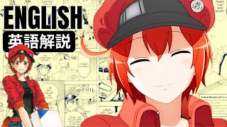 【はたらく細胞で英語学習】英単語＆文法解説｜ リスニング｜中学英語｜基礎英語｜Cells at work in English｜Thanks for | I appreciate it