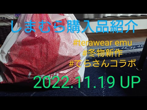 【Haul】しまむら購入品紹介＊2022.11.19/terawear emu/てらさんコラボ/新作/冬物