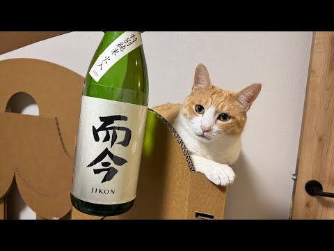 イベントでもらったうめぇ酒とうめぇつまみを食べながら猫たちと話します。