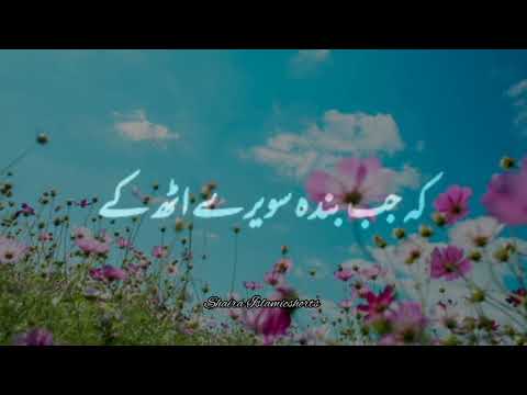 Nabi Paak 'ﷺ' Ne Farmaya 🥀 | Islamic WhatsApp Status |