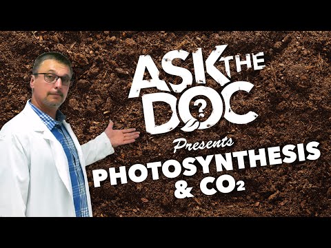 Ask the Doc: Photosynthesis and CO2