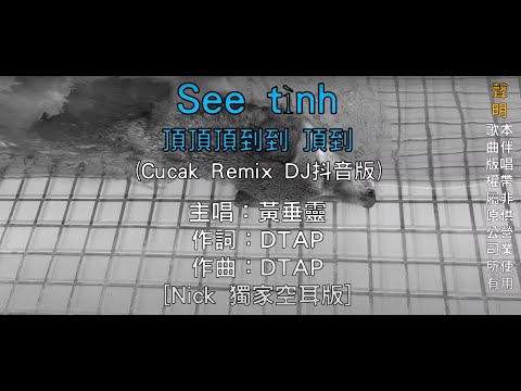 【空耳KTV】越南神曲 See Tình 叮叮噹噹  [ 頂頂頂到到 頂到 ] - Hoàng Thùy Linh (Cucak Remix DJ抖音版) (原聲/伴唱切換)