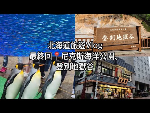 Vlog📍北海道五天四夜之旅最終章、尼克斯海洋公園、企鵝遊行、登別地獄谷、狸小路、吃章魚燒、日本限定冰淇淋🍦北海道必去景點、北海道夏天旅遊2023