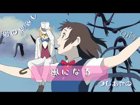 猫の恩返し『風になる』つじあやの カバー