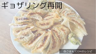 白ごはん.comのレシピで餃子を作りました🥟