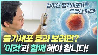 줄기세포 피부주사, 청아연 시술이 특별한 이유 4가지 (튼살치료, 스킨부스터)