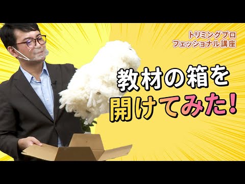 【開けてみた】 トリマープロフェッショナル講座　教材開封動画