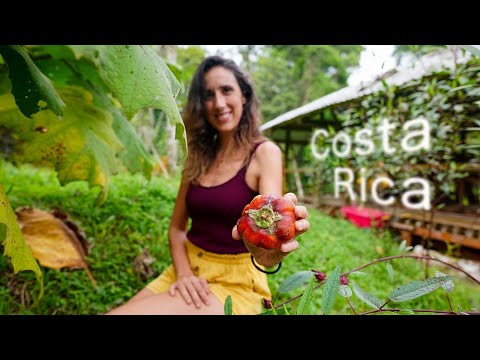 How To Create A Completely Sustainable Farm + Tour | Costa Rica