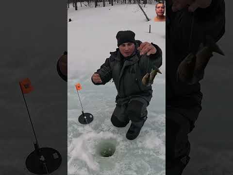 #wow #fish #icefishing #carpfishing #icefishinglife #winterfishing #winter #carp #icefish #snow