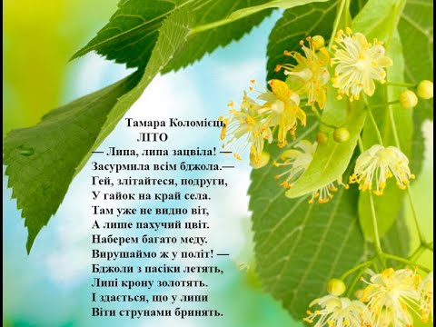 Тамара Коломієць.  Літо. Вчимо вірш он-лайн з дітьми.