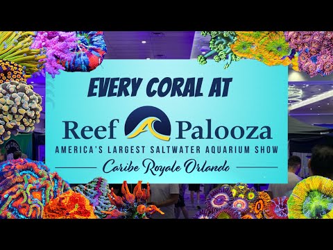 Every Coral At Reef-A-Palooza Orlando 2023!